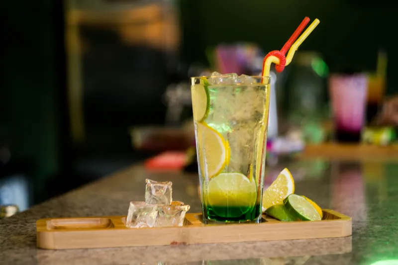 Two Ingredients, Zero Shortcuts: The Japanese Art of the Perfect Highball